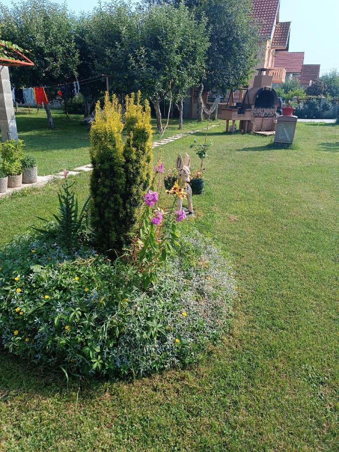Calm Nest Διαμέρισμα Nikšić Εξωτερικό φωτογραφία