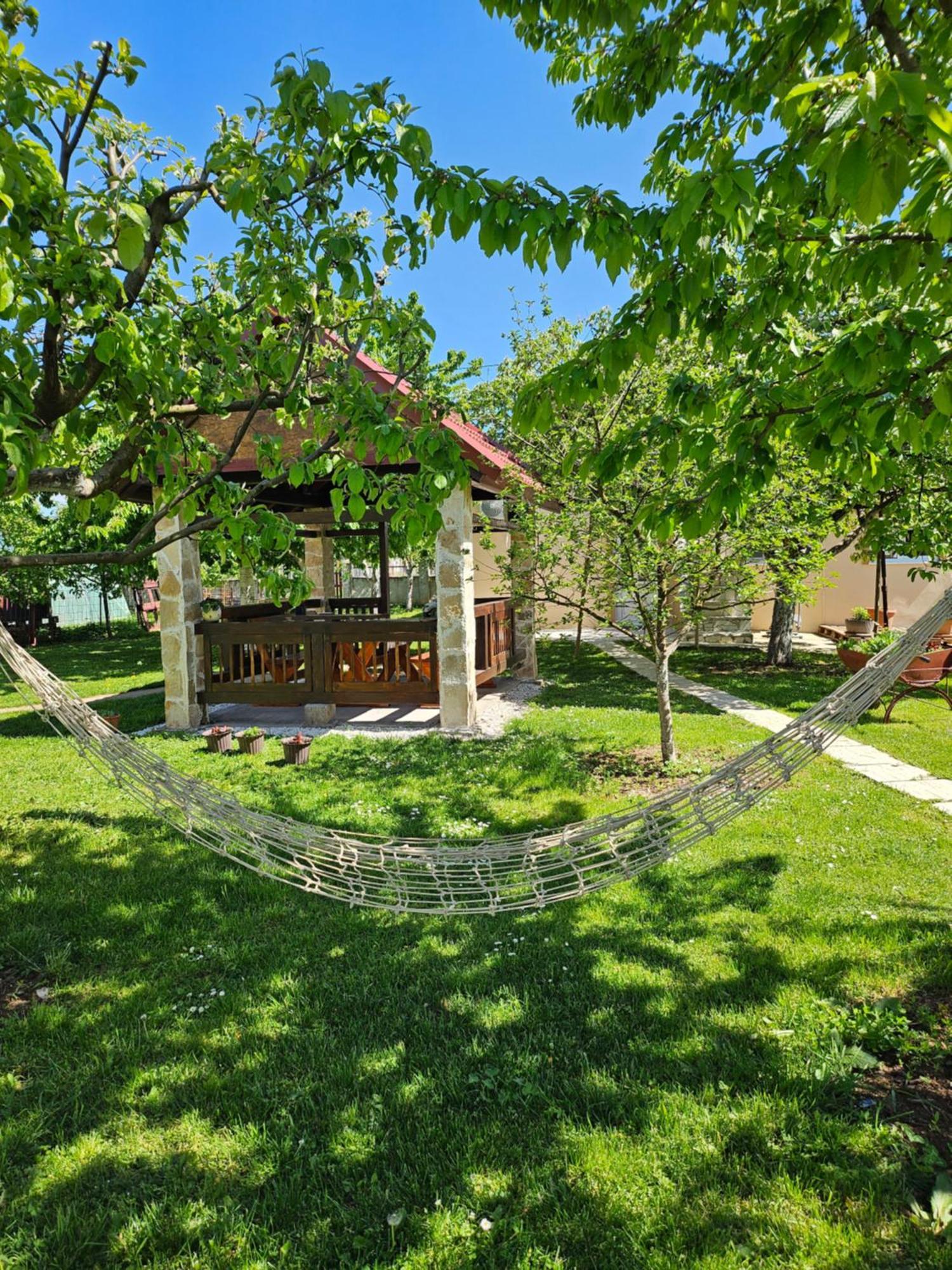 Calm Nest Διαμέρισμα Nikšić Εξωτερικό φωτογραφία